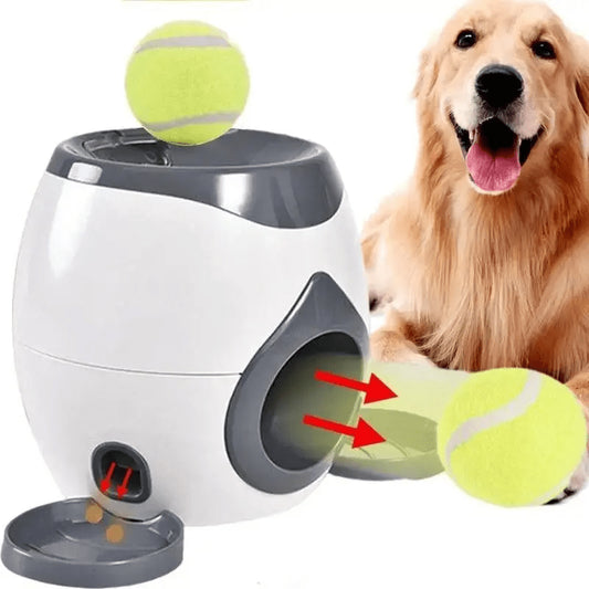 Lanceur de balles automatique pour chien — Jouet d’entraînement intérieur - Furlo