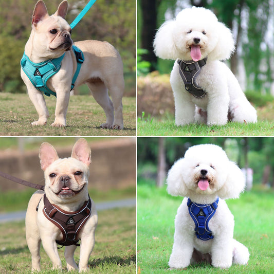 Harnais pour Chien & Chat Réfléchissant et Respirant – Gilet Sécurisé S/M/L/XL - Furlo