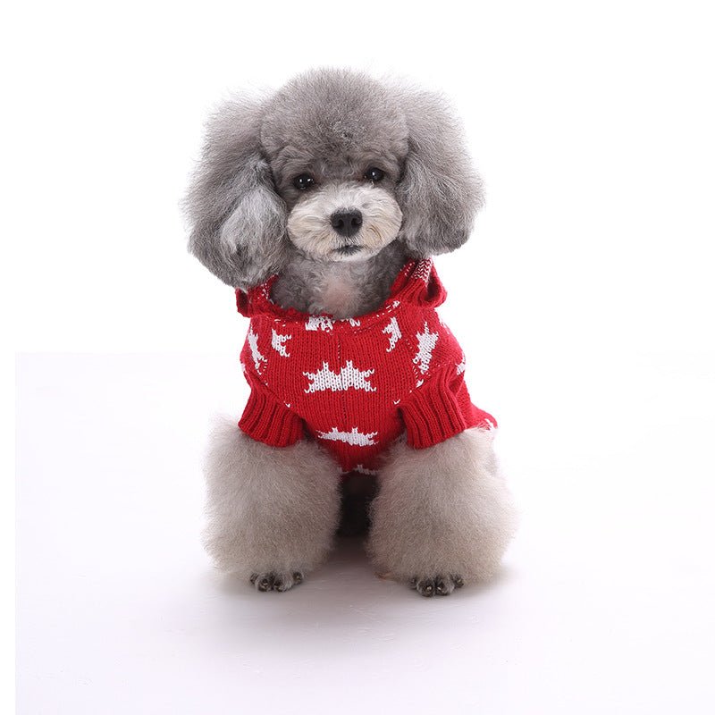 Pull de Noël & Halloween pour Chien – Acrylique Doux S à XXL - Furlo