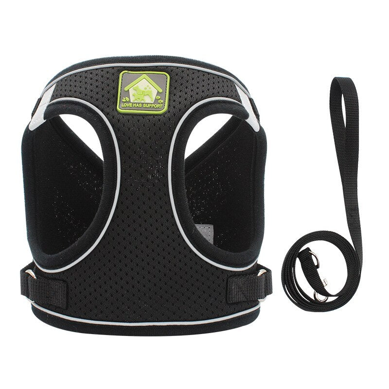 Set Harnais Vest Maille Réfléchissant + Laisse pour Chat et Chiot – XS à XL - Furlo