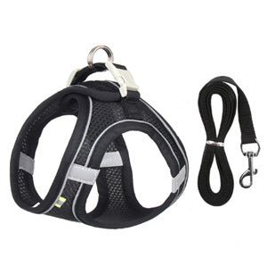 Harnais Maille Réfléchissant & Respirant pour Chat et Chien – Avec Laisse 150 cm - Furlo