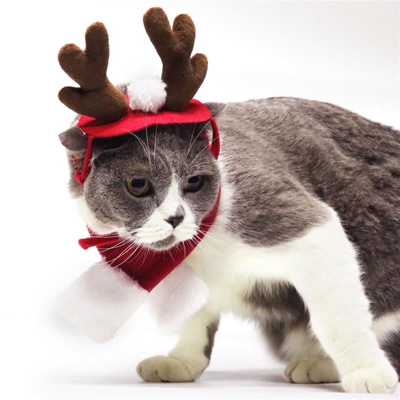 Serre-Tête Bois de Renne de Noël pour Chien & Chat – Décoration Fête | Rouge - Furlo