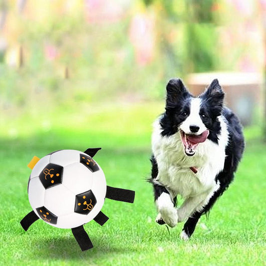 Ballon de Football Interactif pour Chien – TPU Résistant avec Cordes | 15 ou 17 cm - Furlo