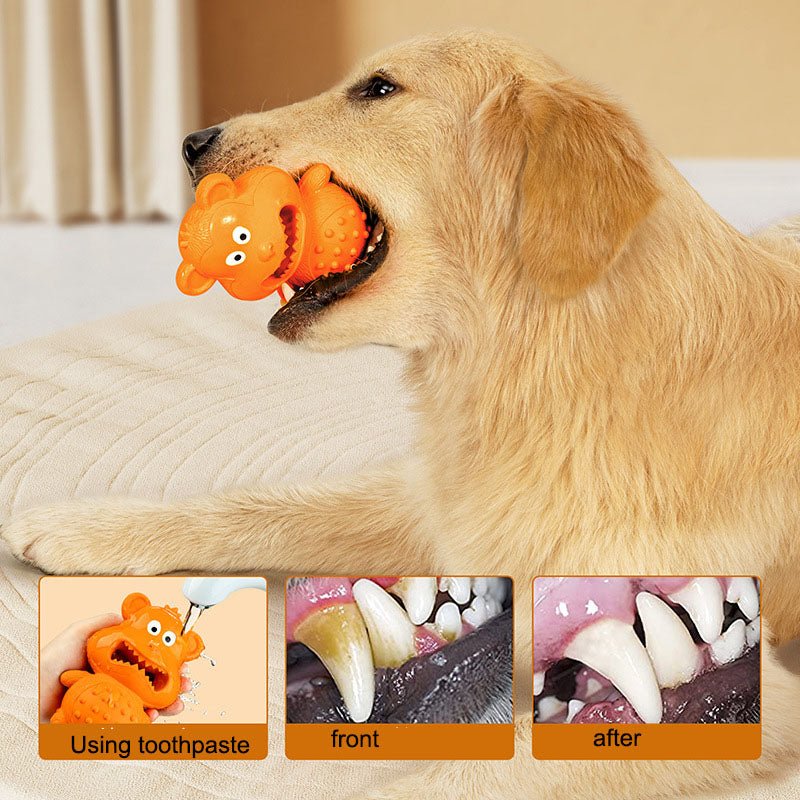 Jouet Mordant Distributeur de Friandises pour Chien – Anti-Stress & Résistant - Furlo