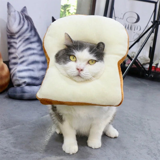 Collier de Récupération Toast pour Chat – Cône Anti-Léchage Forme Pain de Mie - Furlo