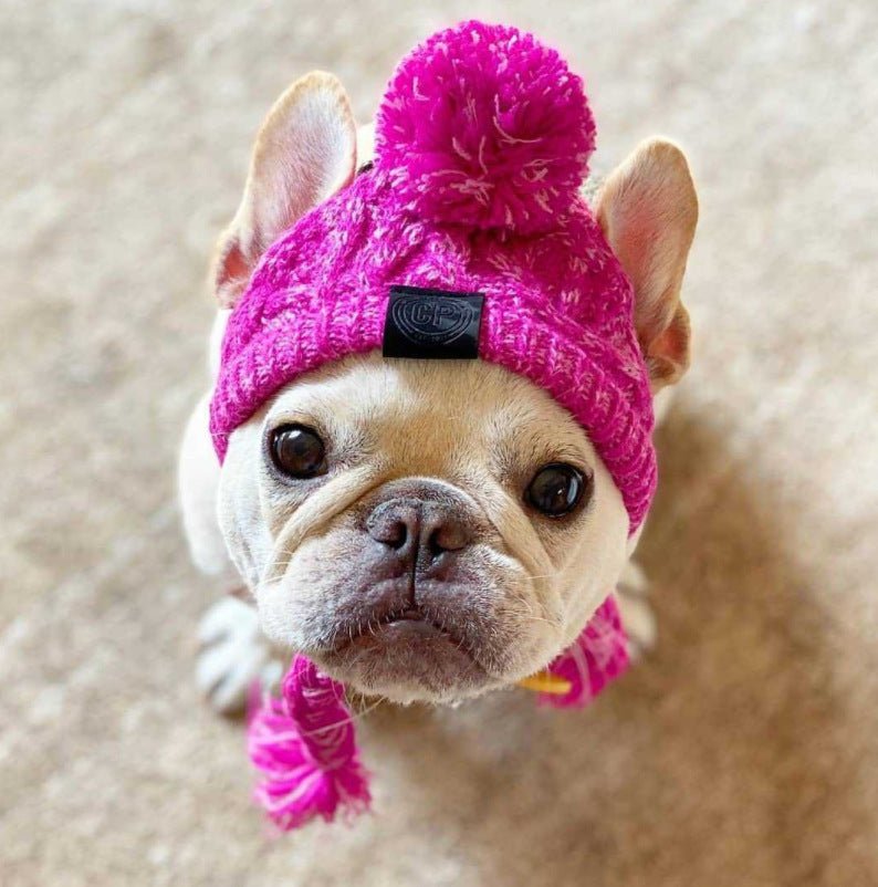Bonnet pour chien et chat – Accessoire toutes saisons | Gris & Violet - Furlo
