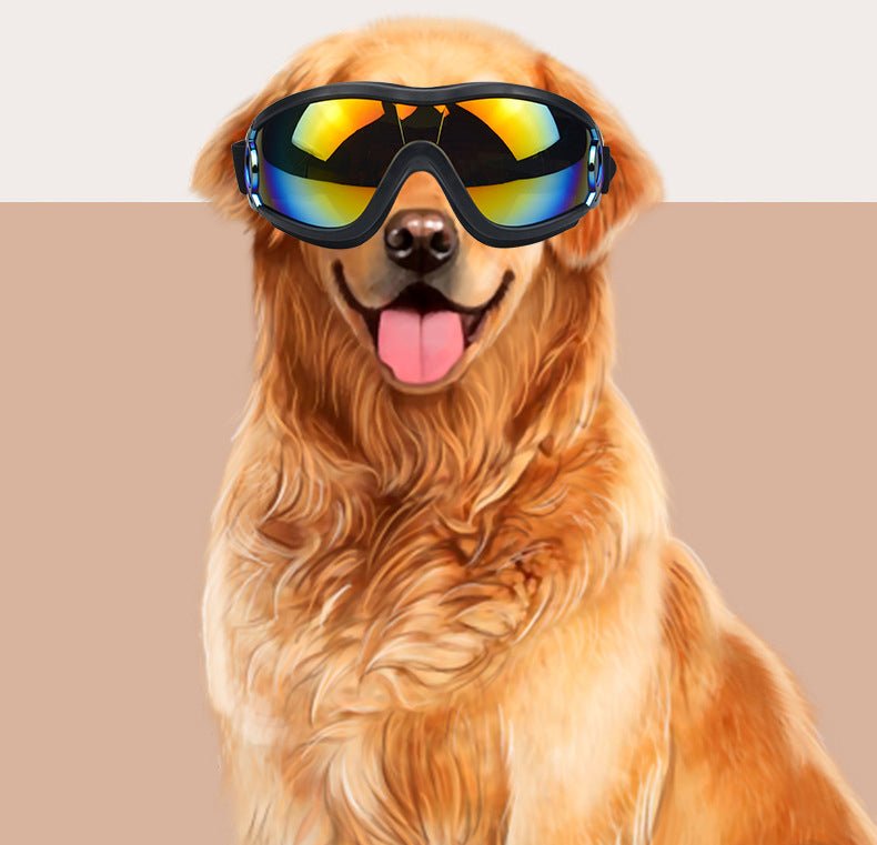 Lunettes de soleil pour chien & chat — Anti-vent & Protection UV - Furlo