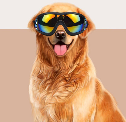 Lunettes de soleil pour chien & chat — Anti-vent & Protection UV - Furlo