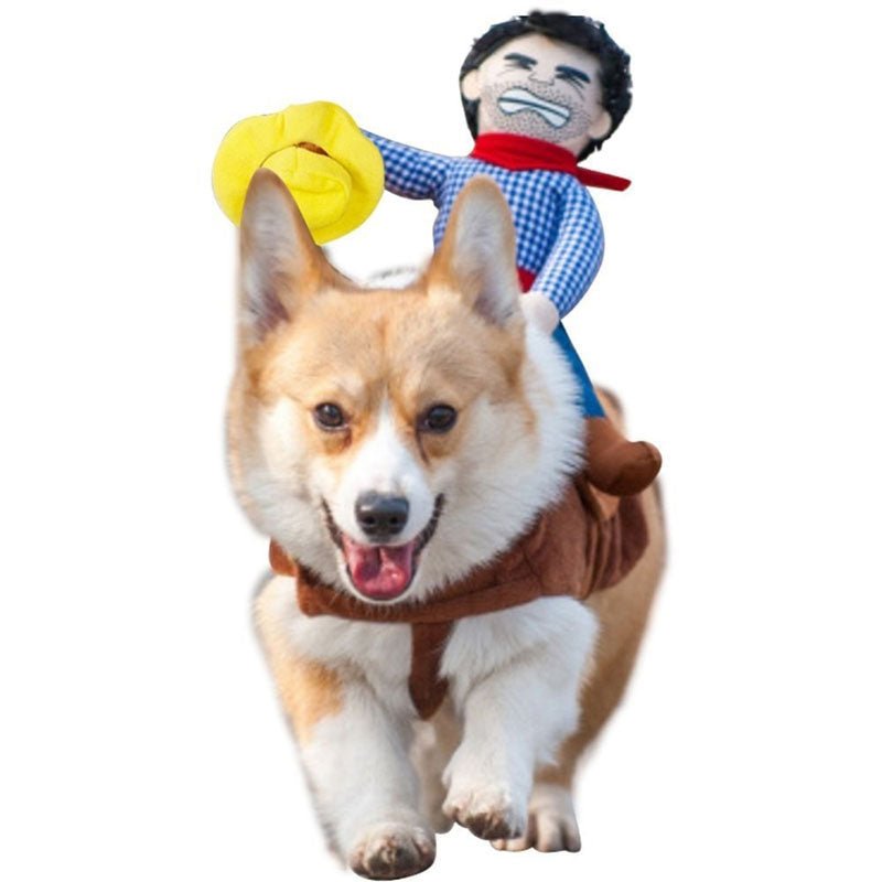 Costume cowboy western pour chien et chat – 100% coton | Halloween & Cosplay | 4 tailles - Furlo