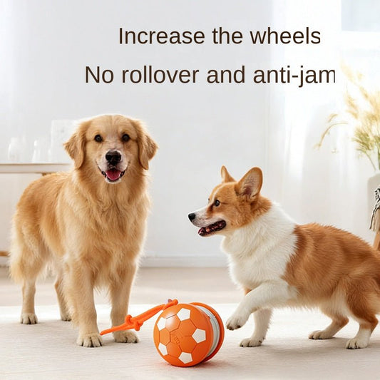 Balle Roulante Interactive pour Chien – Édition Officielle Coupe du Monde - Furlo