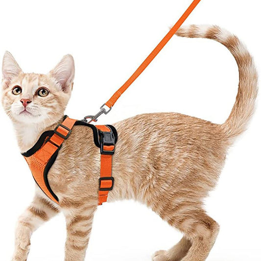 Harnais Vest Anti-Fugue Respirant & Réfléchissant pour Chat – Avec Laisse - Furlo