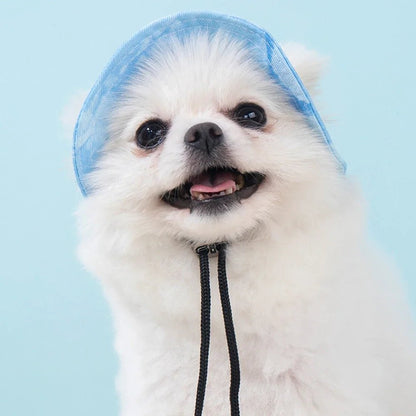 Chapeau Bob Soleil Ajustable pour Petit Chien et Chat – Trous Oreilles S M L - Furlo
