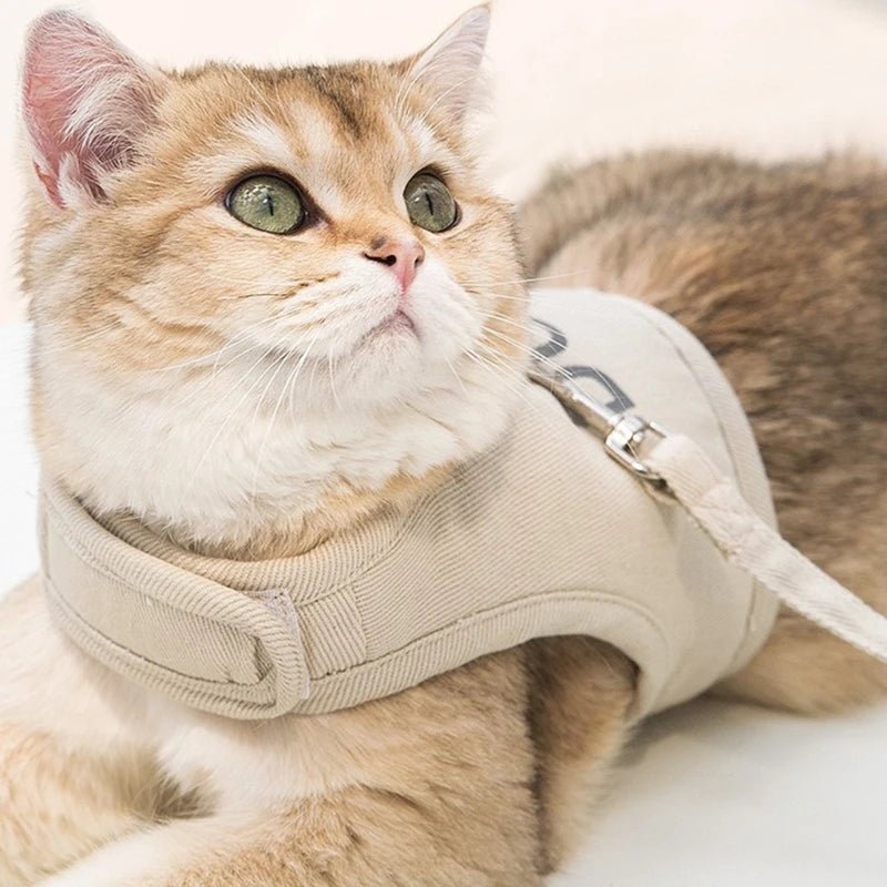 Harnais & Laisse Ajustable pour Chat & Lapin – Canvas Respirant | Tailles S à XL | 4 Coloris - Furlo