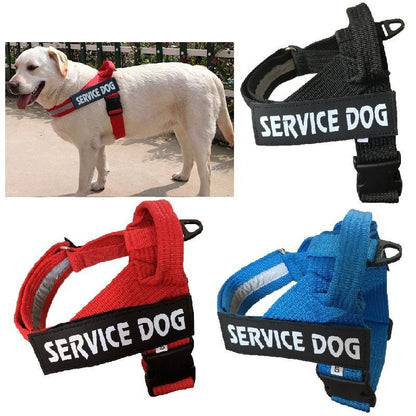 Harnais Réglable Personnalisé pour Chien - Furlo