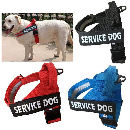Harnais Réglable Personnalisé pour Chien - Furlo