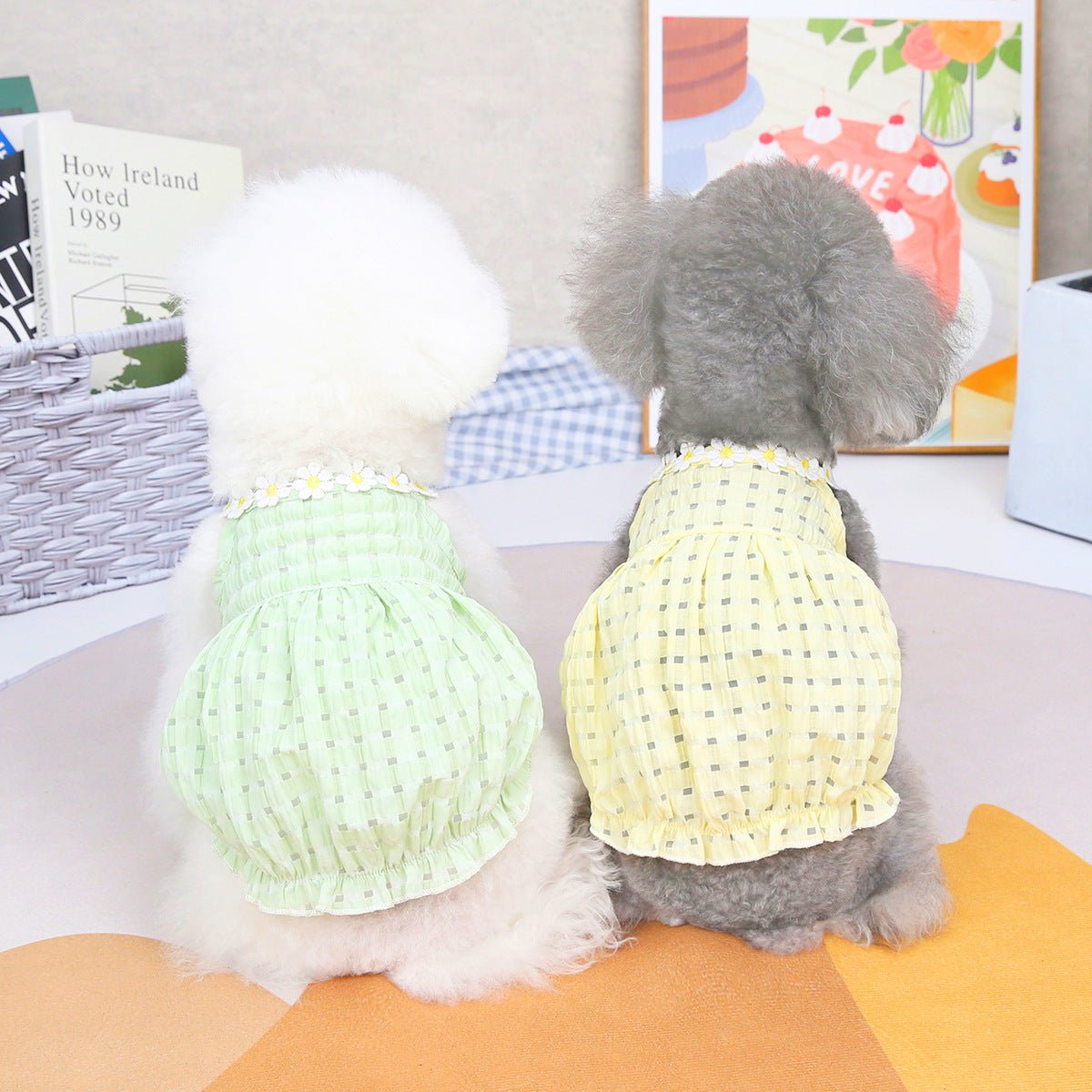 Vêtement chien printemps/été – Pull léger pour petit chien - Furlo