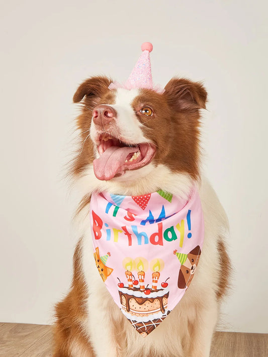 Kit Anniversaire pour Chien & Chat – Chapeau, Bandana, Bavoir & Banderole Fête - Furlo