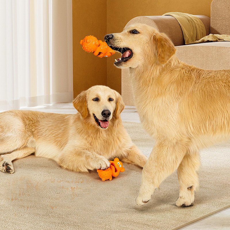 Jouet Mordant Distributeur de Friandises pour Chien – Anti-Stress & Résistant - Furlo