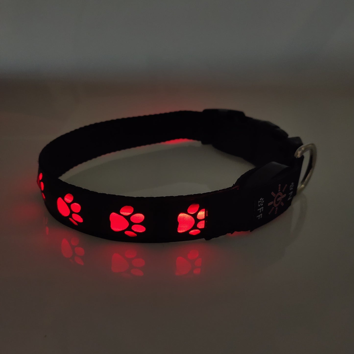 Collier LED Rechargeable pour Chien – Lumineux, Anti-Accident, Anti-Perte - Furlo473B8533A88046E1B524F5FBD5A4A3A4