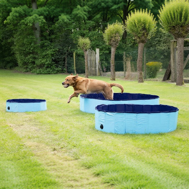 Piscine Pliable pour Chien – Baignoire Portable avec Vidange, Jeux d’Été et Bain - Furlo02AAA5D4803749C59826EE82F3EABB9F