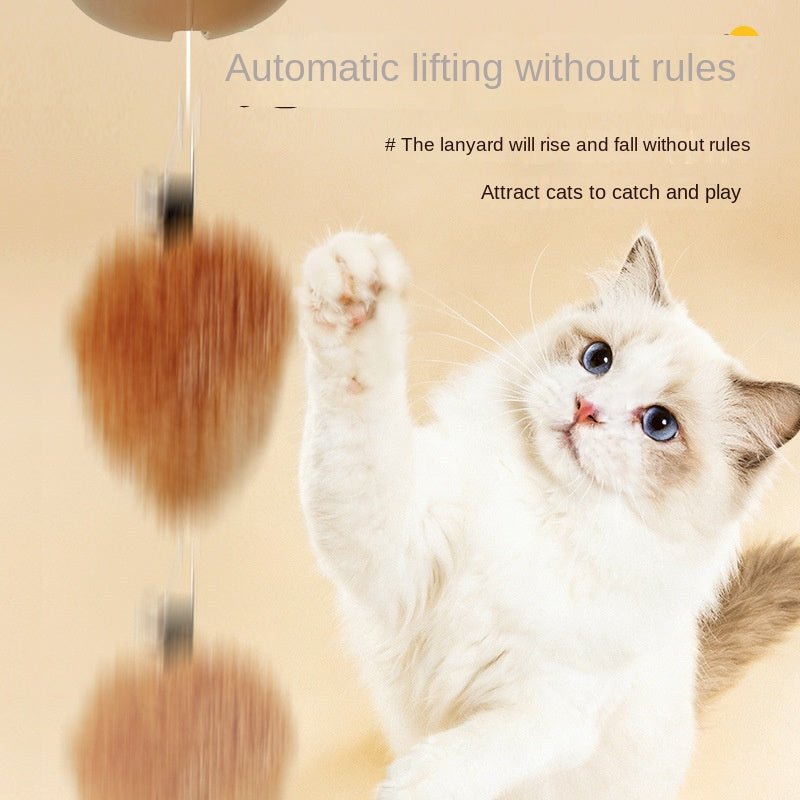 Jouet Interactif Capybara pour Chat – Balle Automatique Capteur de Mouvement - Furlo