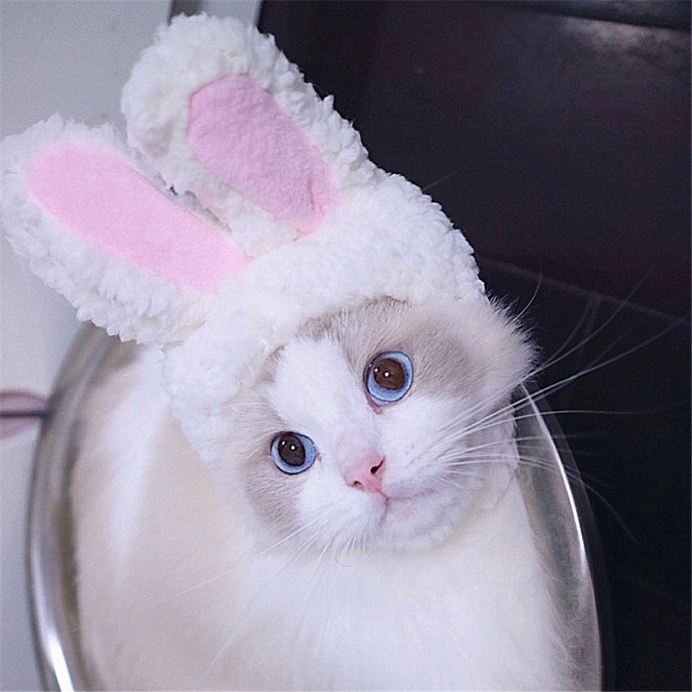 Chapeau Lapin de Pâques pour Chat et Petit Chien – Déguisement & Photo - Furlo