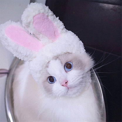 Chapeau Lapin de Pâques pour Chat et Petit Chien – Déguisement & Photo - Furlo