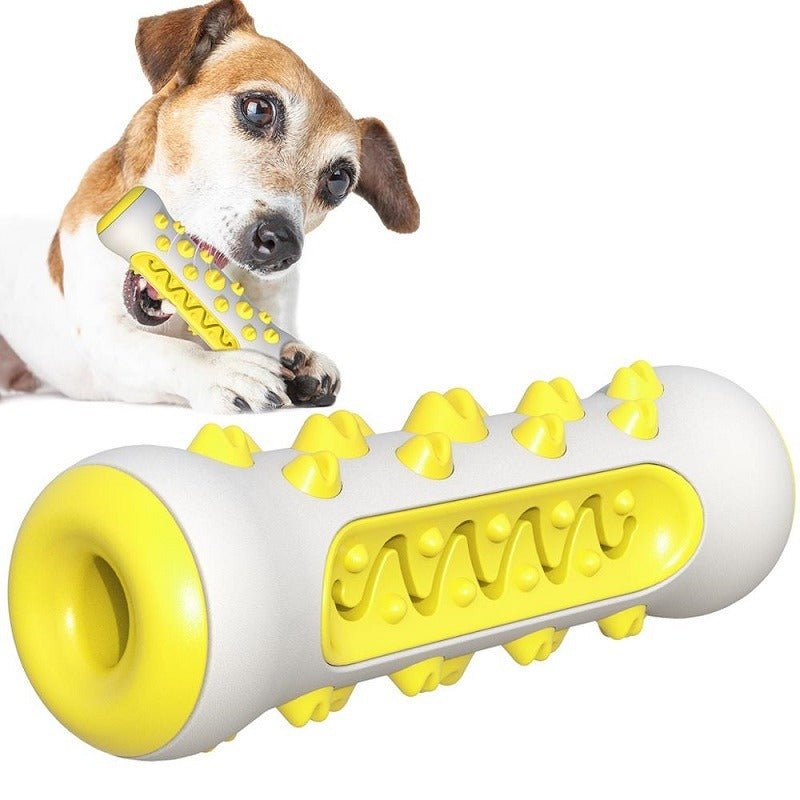 Jouet Molaire en TPR pour Chien – 6 Styles Nettoyant les Dents - Furlo