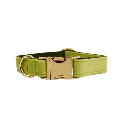 Collier velours pour chien réglable – coloris vert avocat
