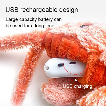 Homard Sauteur Rechargeable USB pour Chat – Jouet Interactif avec Herbe à Chat - Furlo