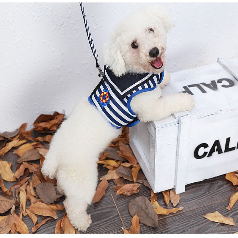 Harnais + Laisse 2-en-1 Style Marin pour Chien – 3 Coloris XS à XL - Furlo