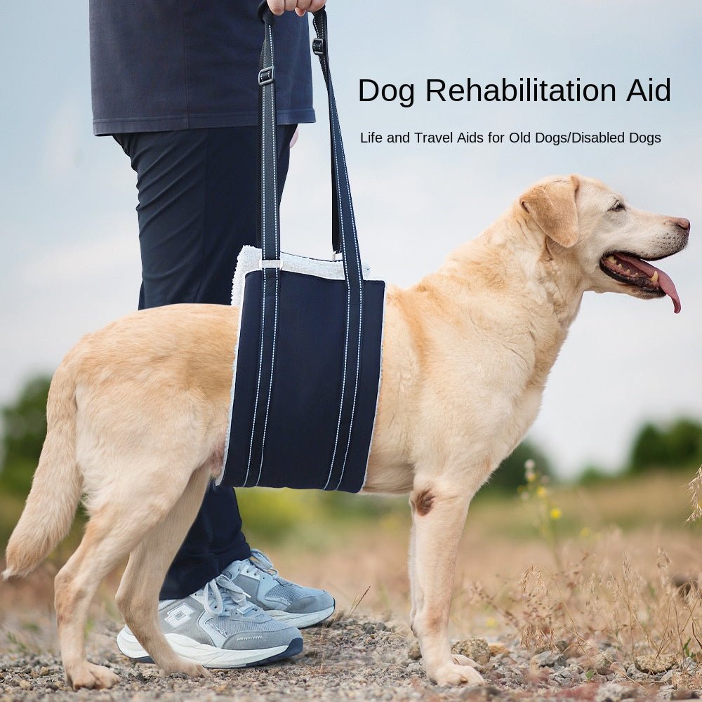 Harnais de Soutien Réglable pour Chien – Laisse d’Assistance S M L XL - Furlo