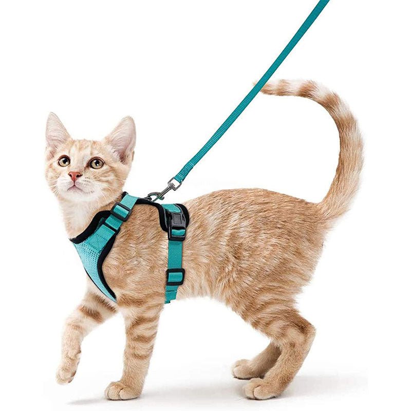 Harnais Vest Anti-Fugue Respirant & Réfléchissant pour Chat – Avec Laisse - Furlo