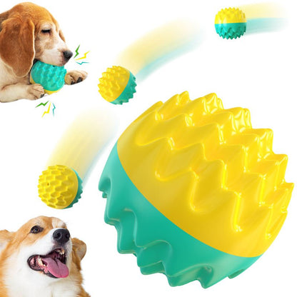 Balle Molaire Sonore en ABS pour Chien – Brosse à Dents & Entraînement Outdoor - Furlo