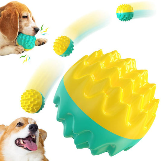 Balle Molaire Sonore en ABS pour Chien – Brosse à Dents & Entraînement Outdoor - Furlo