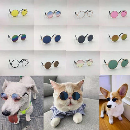 Lunettes de Soleil pour Chien & Chat - Furlo