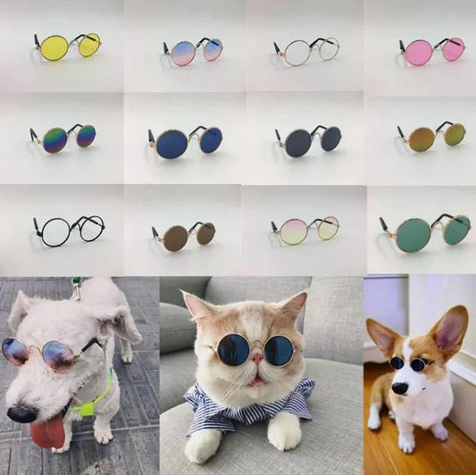 Lunettes de Soleil pour Chien & Chat - Furlo