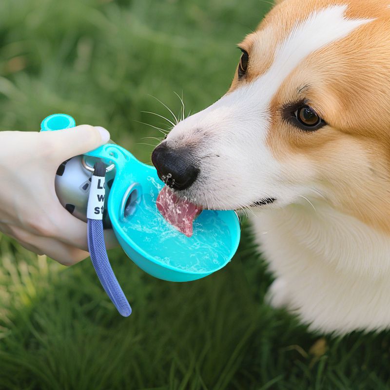 Gourde portable pour chien — Acier inoxydable 285 ml - Furlo