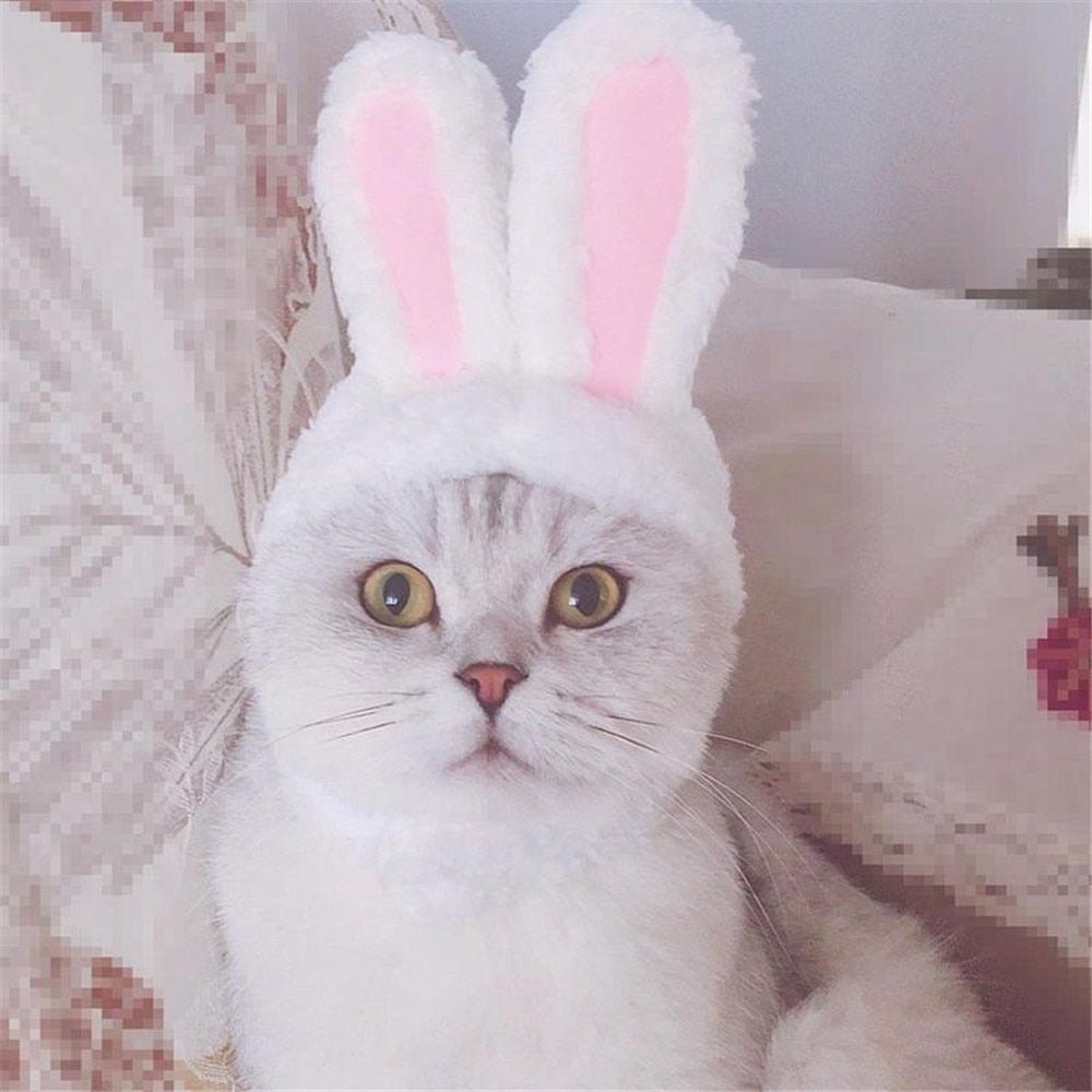 Chapeau Lapin de Pâques pour Chat et Petit Chien – Déguisement & Photo - Furlo
