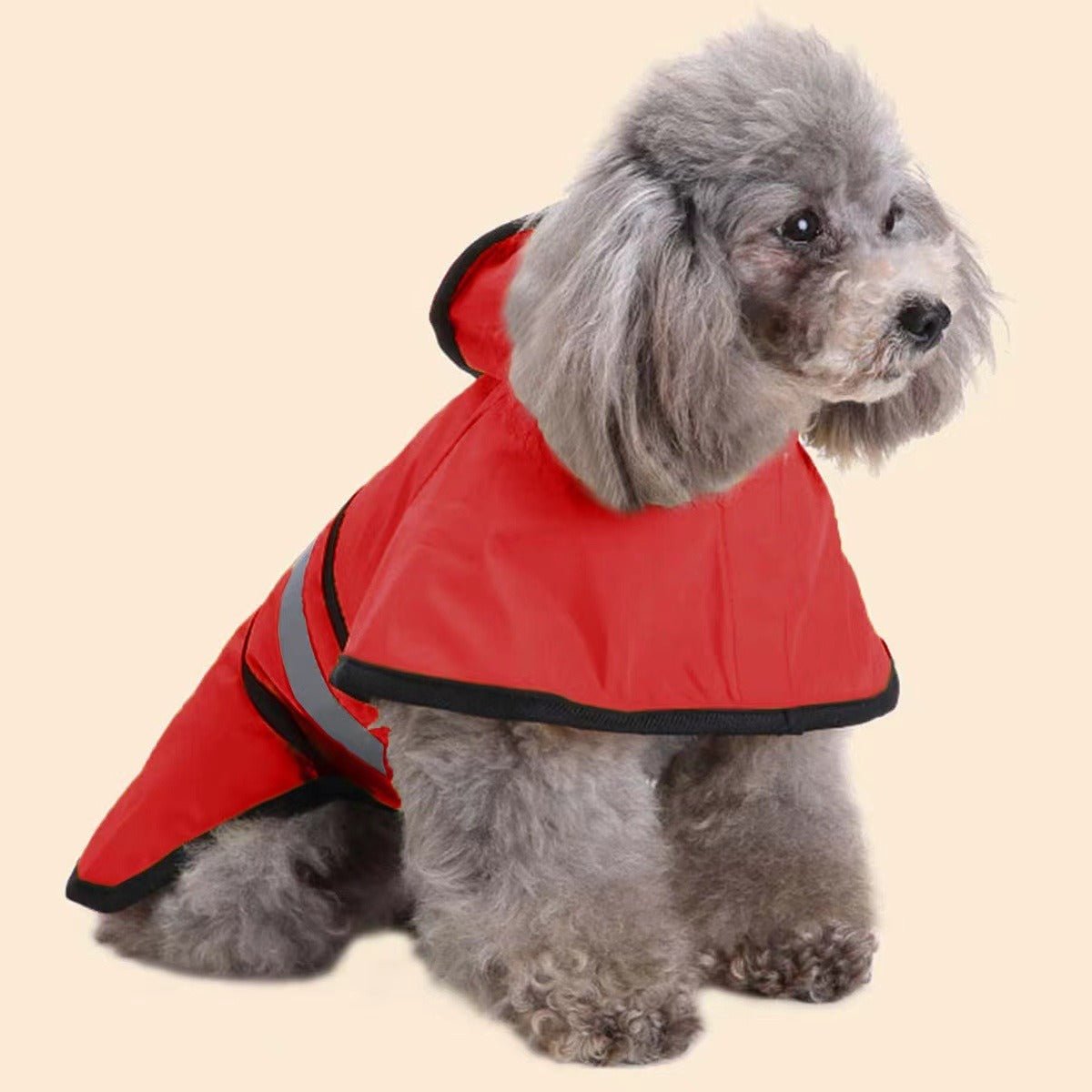 Imperméable Réfléchissant pour Petit Chien – Toutes Saisons | S à 4XL - Furlo