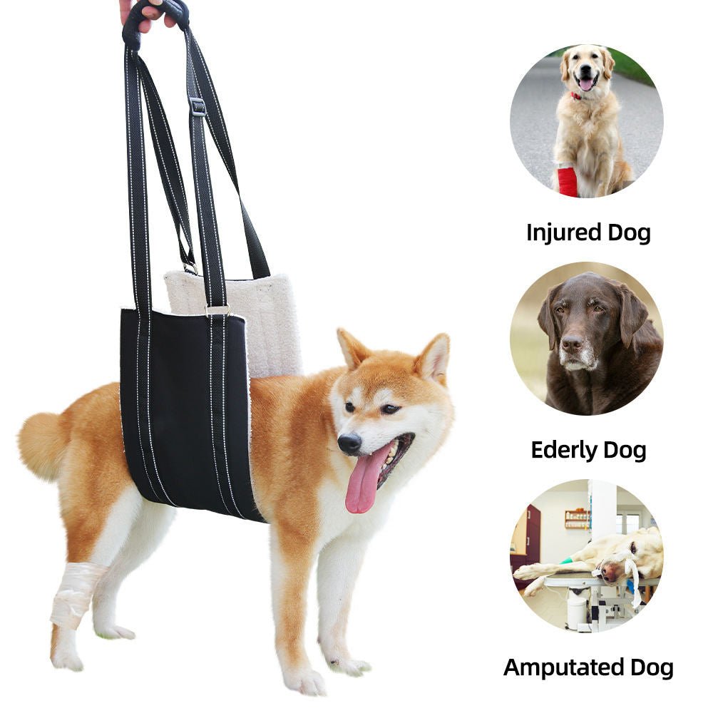 Harnais de Soutien Réglable pour Chien – Laisse d’Assistance S M L XL - Furlo