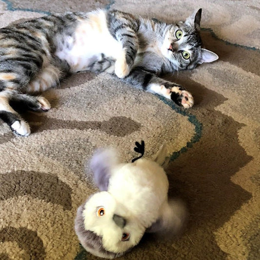 Oiseau Rechargeable USB pour Chat – Jouet Interactif Sonore à Activation Tactile | Catnip - Furlo