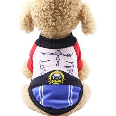 Costume Halloween Ange pour Chien et Chat – 14 Coloris XS à XXL - Furlo