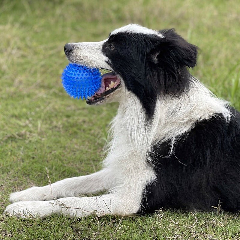Balle à Picots Sonore pour Chien – Mastication TPR 9 cm | Bleu, Orange, Vert - Furlo