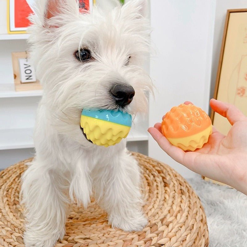 Balle Molaire Sonore en ABS pour Chien – Brosse à Dents & Entraînement Outdoor - Furlo