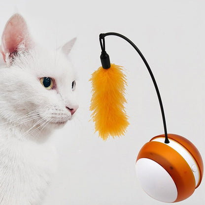 Jouet Interactif Électrique pour Chat – Balle Culbuto LED Lumineuse avec Plume - Furlo2A1A22139C8C4CD4B88D9849465D62DF