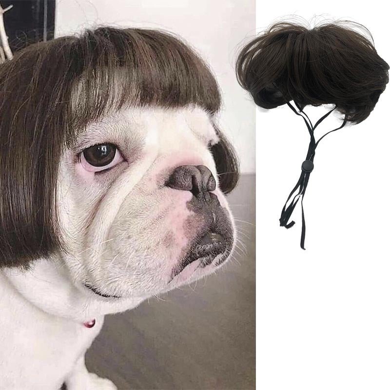 Perruque Cosplay pour Chien et Chat – Accessoire Déguisement Rigolo - Furlo