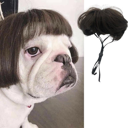 Perruque Cosplay pour Chien et Chat – Accessoire Déguisement Rigolo - Furlo