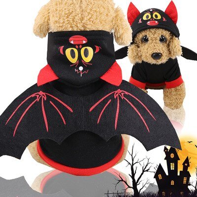 Costume Halloween Ange pour Chien et Chat – 14 Coloris XS à XXL - Furlo