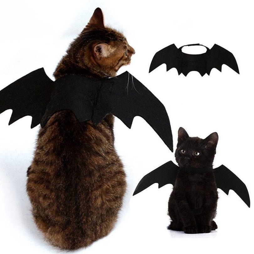 Ailes de Chauve-Souris Halloween pour Chat – Costume Félin en Feutrine Noire - Furlo